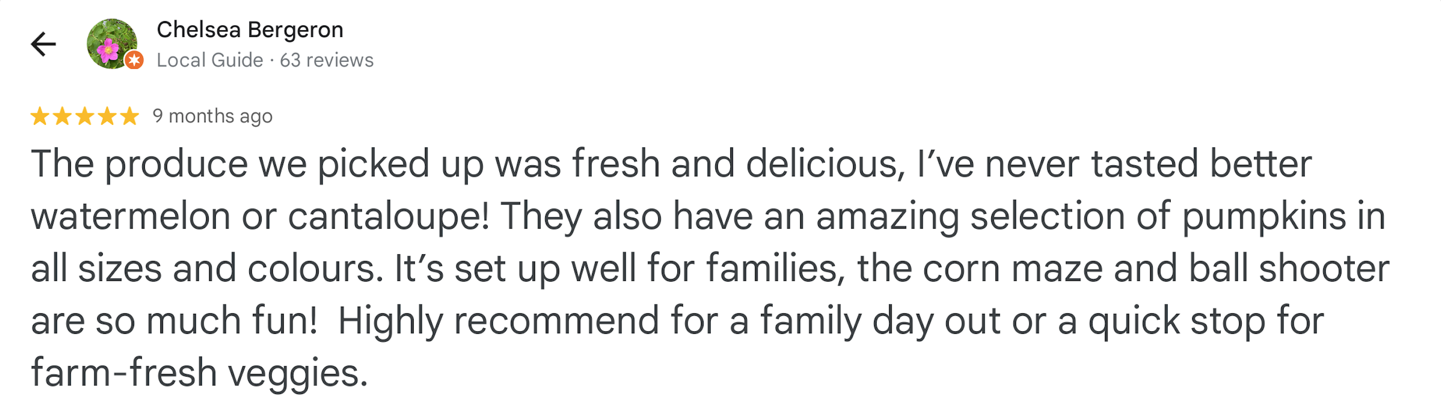 Google review screenshot 08 for Kelowna Fruit n Veggies
