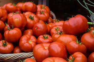 Tomato Beefsteak