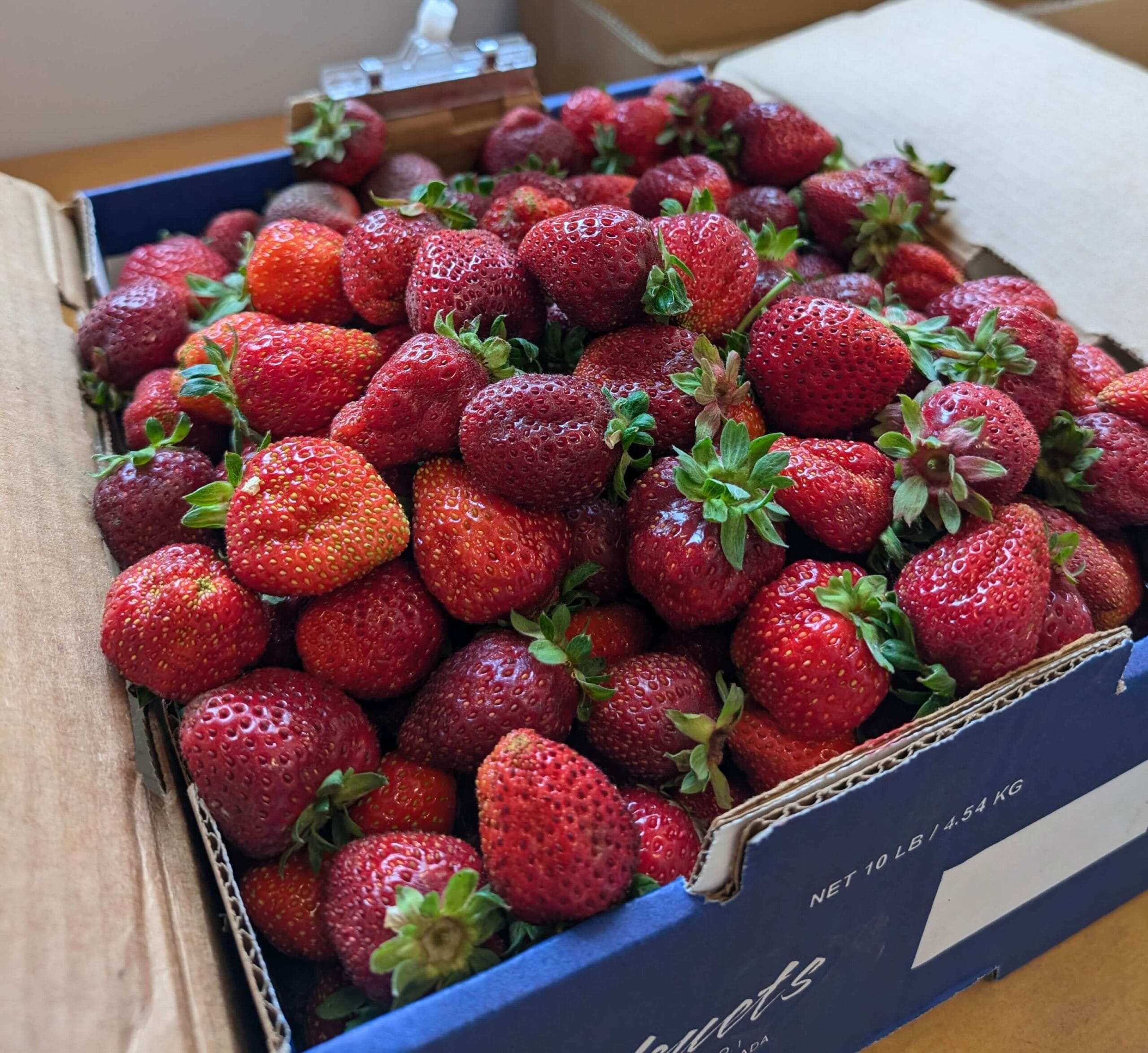 Jam Berries