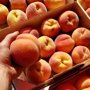 Peaches