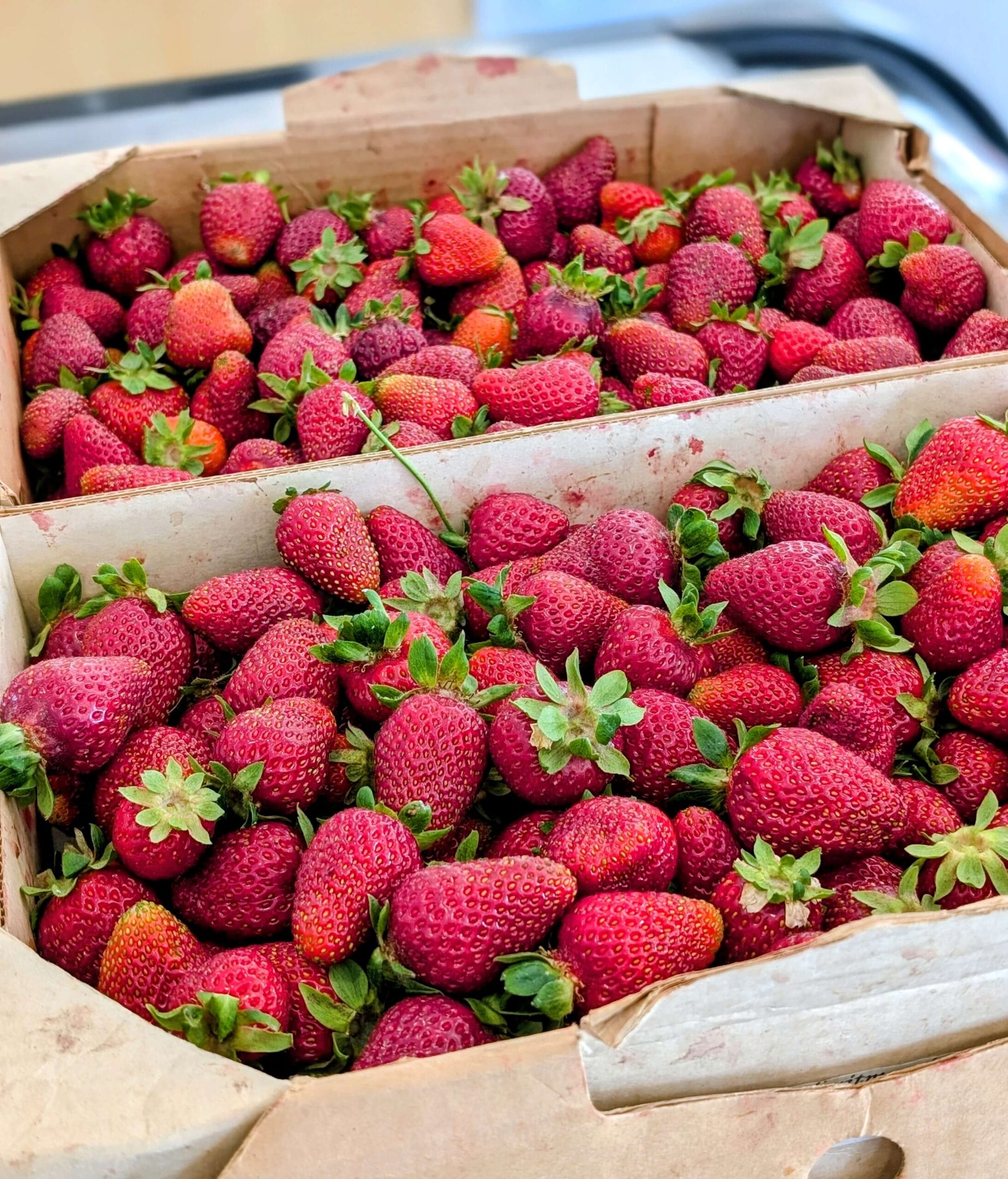 Strawberry Flat