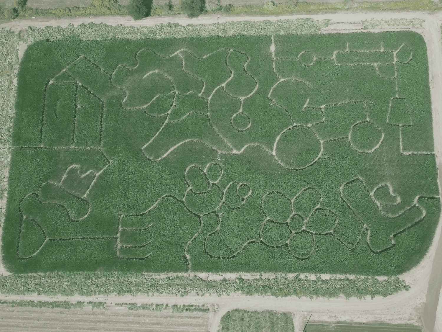 The Five-Acre Corn Maze